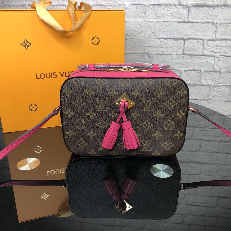 Louis Vuitton M43557 Saintonge Monogram Coated Canvas and Smooth Calfskin Leather Freesia - image 1